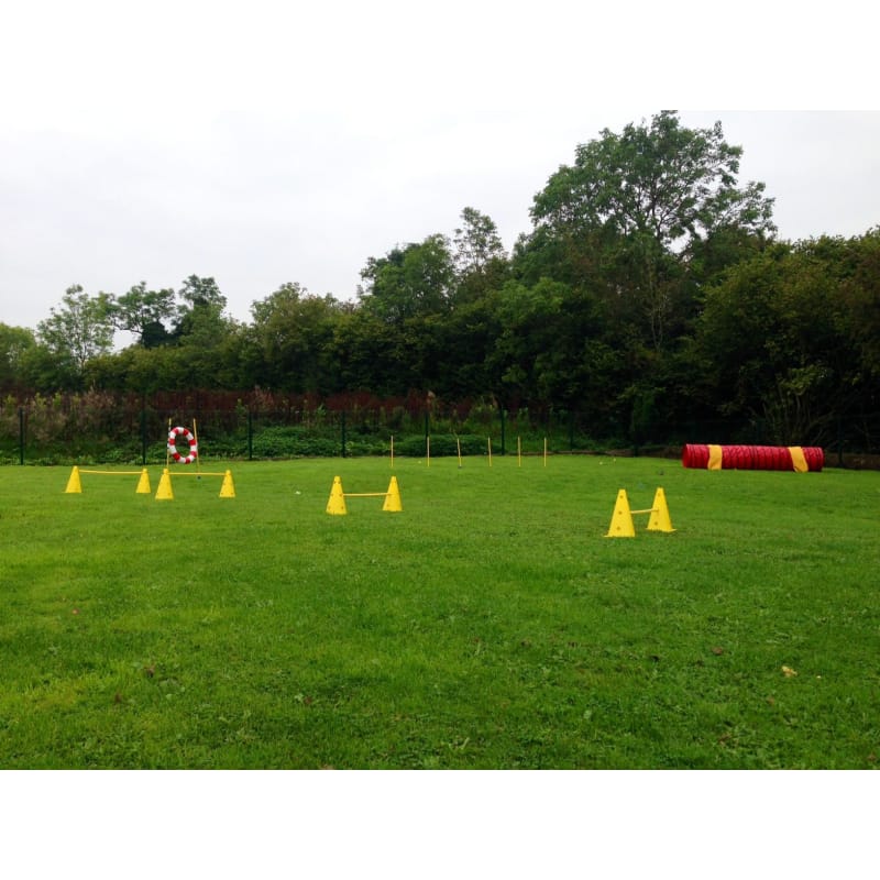 Oaktree Boarding Kennels Chippenham Boarding Kennels Yell