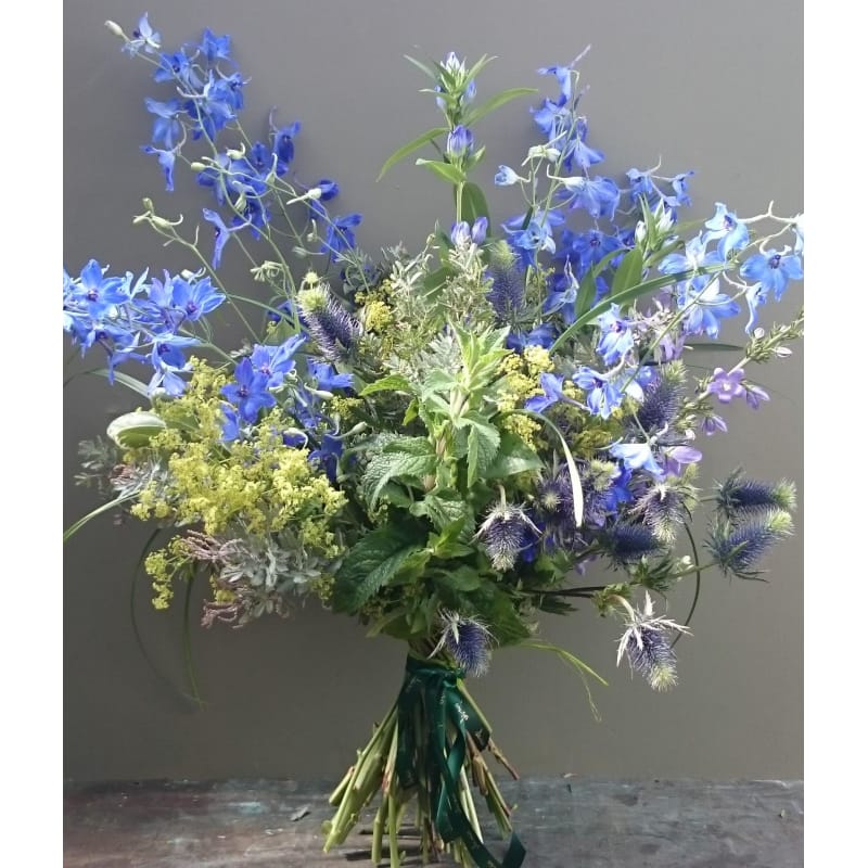 Daisies Flowers Oxford Best Flower Site