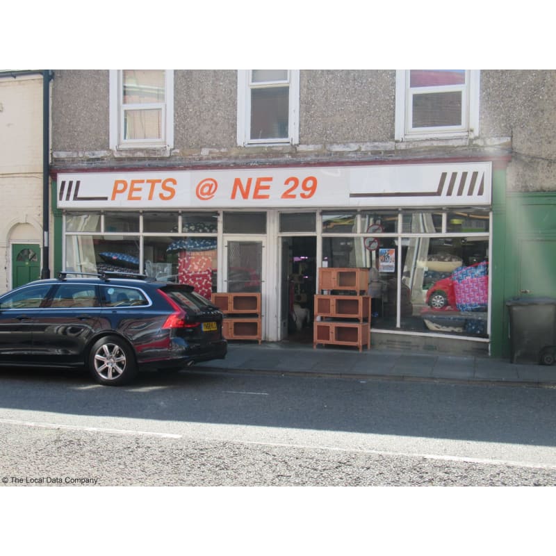 Pet shop north store road