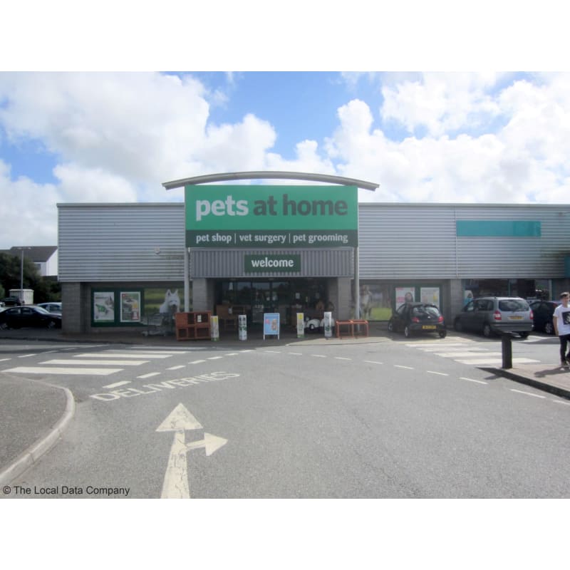 cute rottweiler puppies