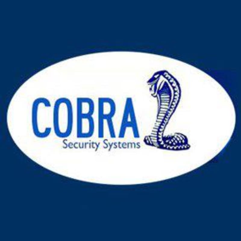 Cobra video clearance surveillance system