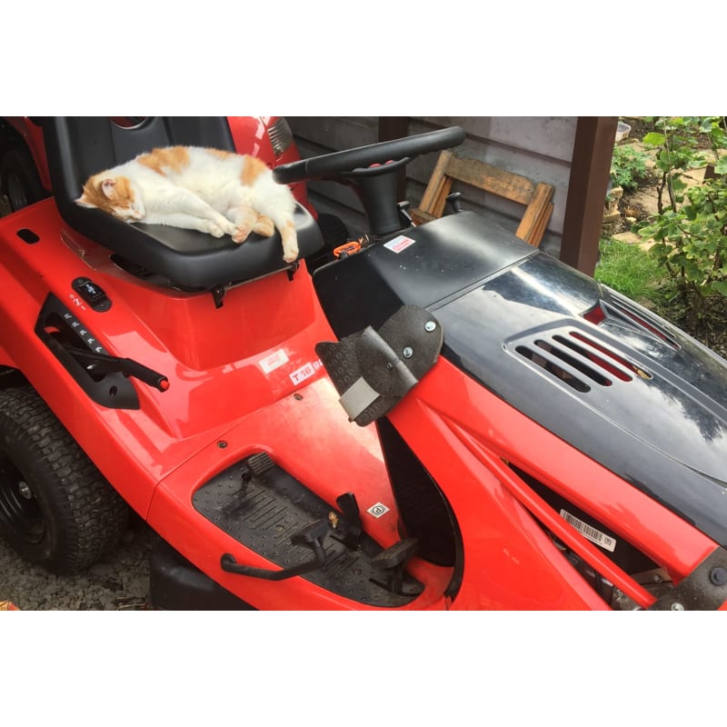 Lawn mower service discount dorchester