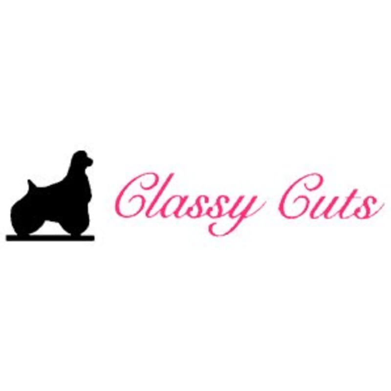 Classy cuts hot sale dog grooming