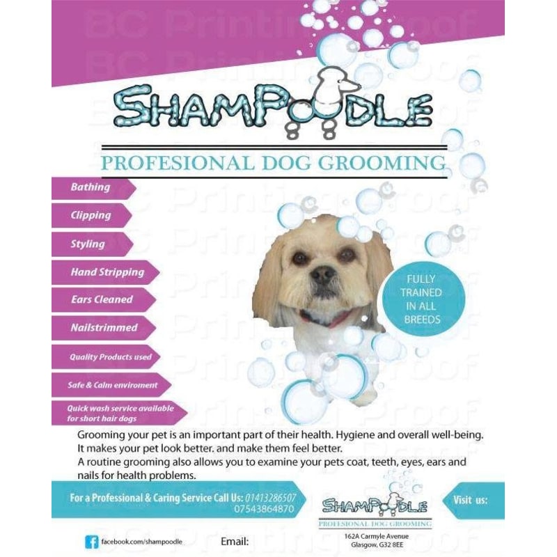 Shampoodle mobile hot sale dog grooming