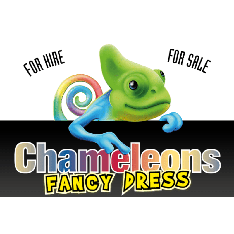 Chameleon clearance fancy dress