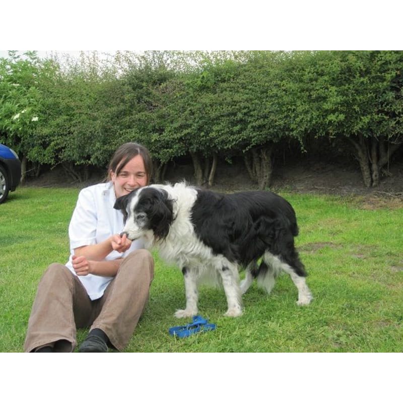 Rose Cottage Veterinary Centre Runcorn Vets Yell