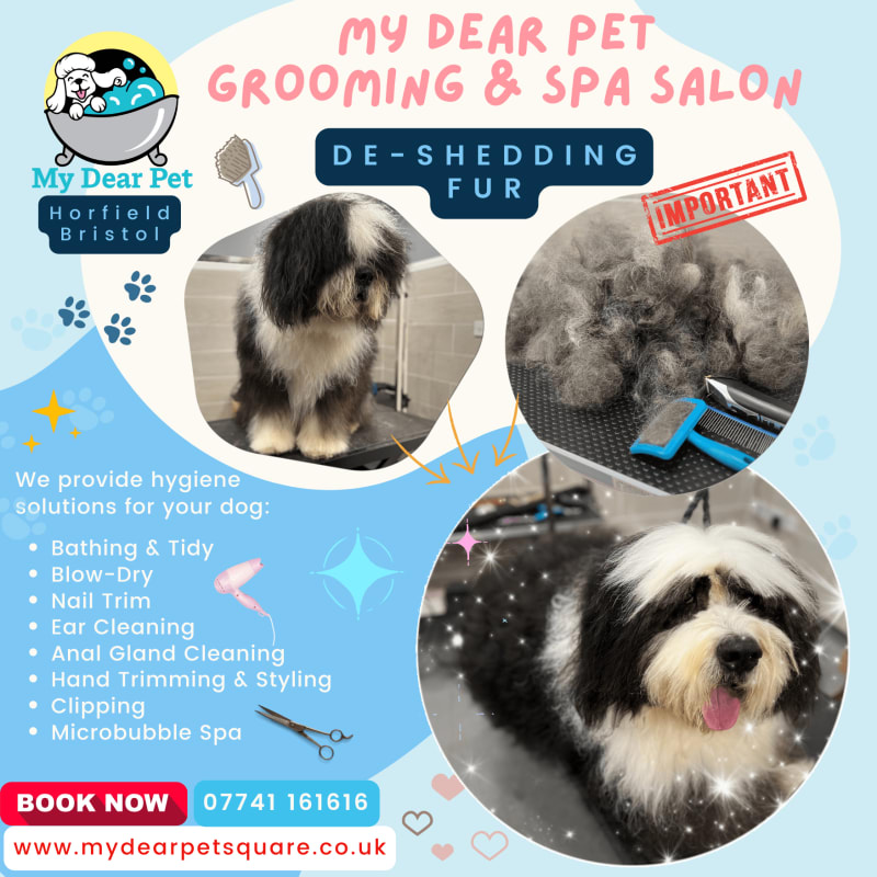 Pet grooming open hot sale today near me