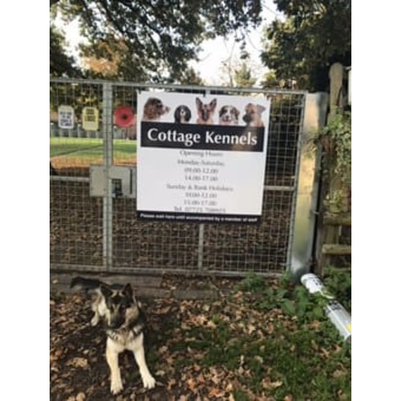 Cottage kennels quin best sale