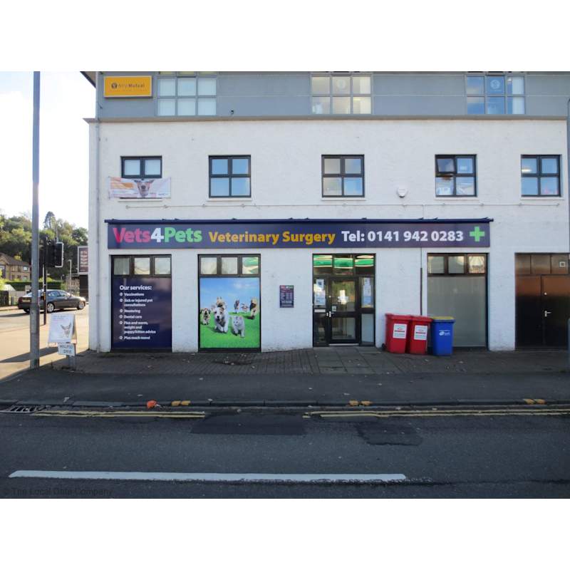 vets for pets hillfoot