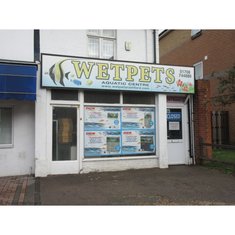 Wet pets cheap