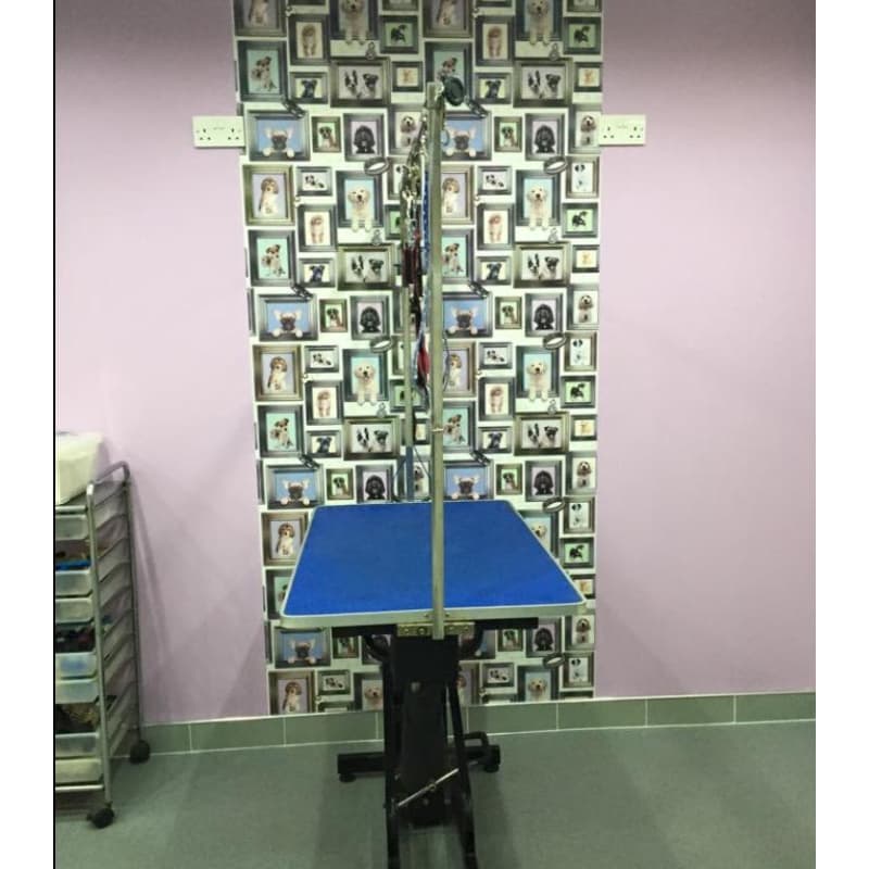 groomingdales by netty