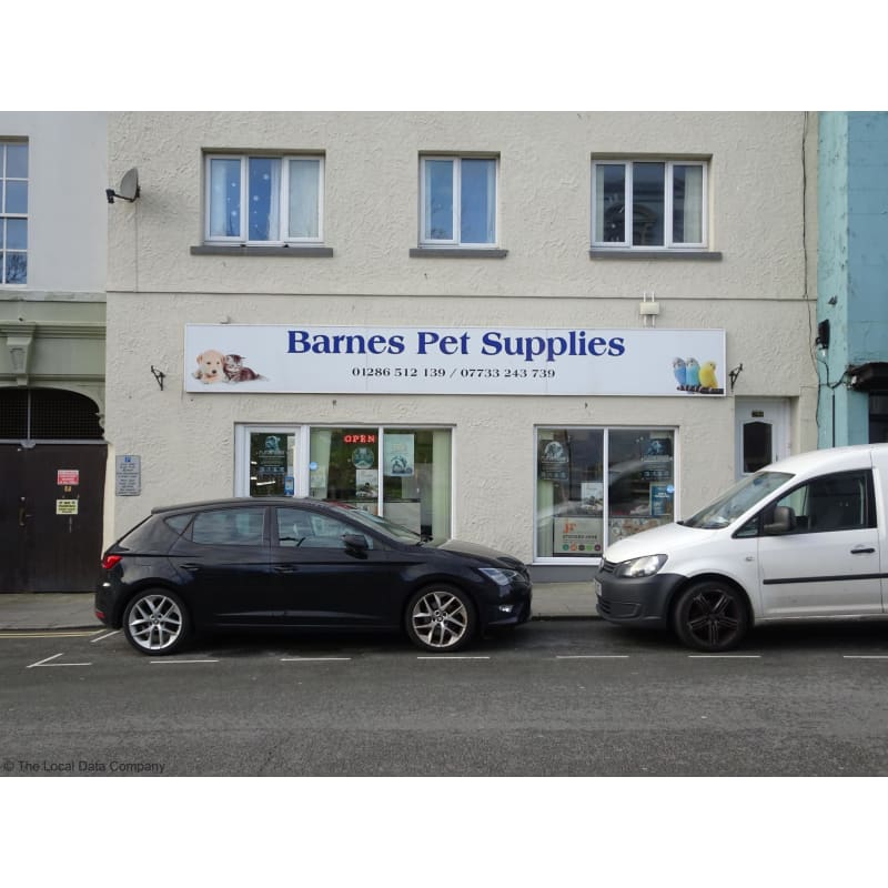 Barnes hot sale pet supply