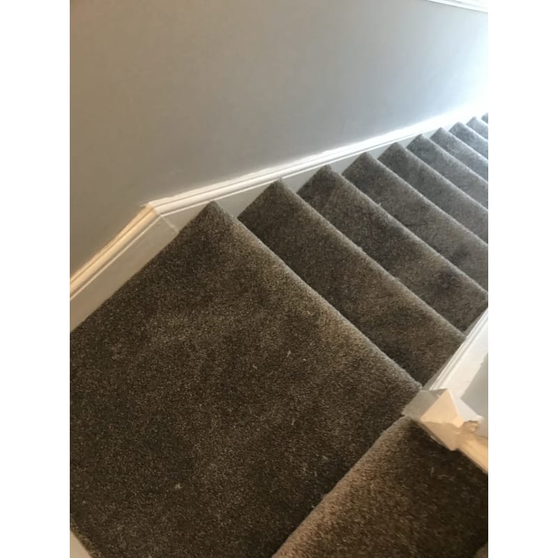 Abbey Carpets Swansea Carpet Vidalondon