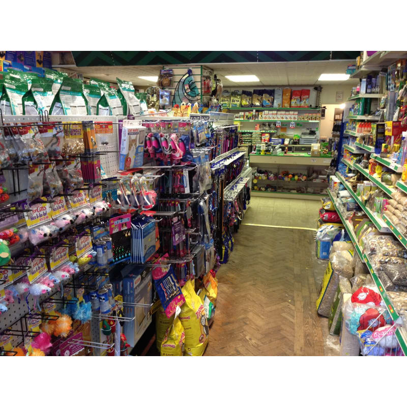 Rhos Pet Supplies Colwyn Bay Pet Supplies Yell