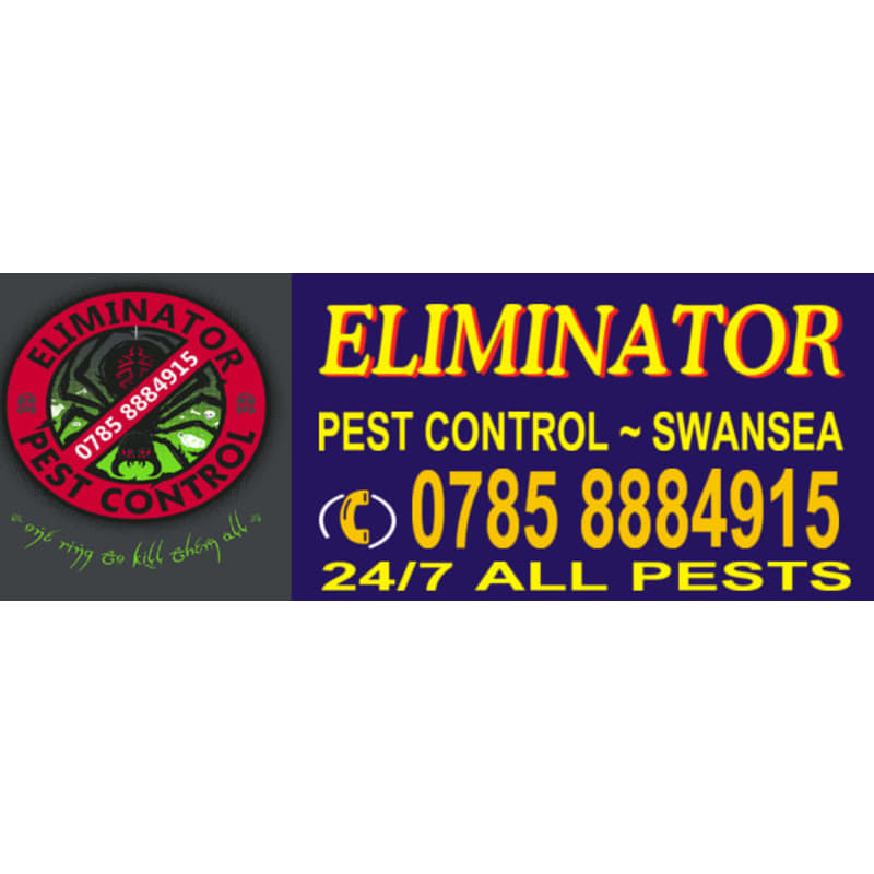 Pest Control Granules For Your Grass Pest Control Jobs Bristol Pest Control In Home In Telugu Local Insect Control Pest Control Services Termite Control