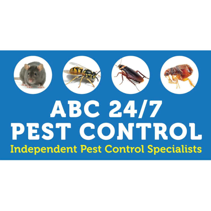 Abc 24 7 Pest Control Swansea Pest Vermin Control Services Yell