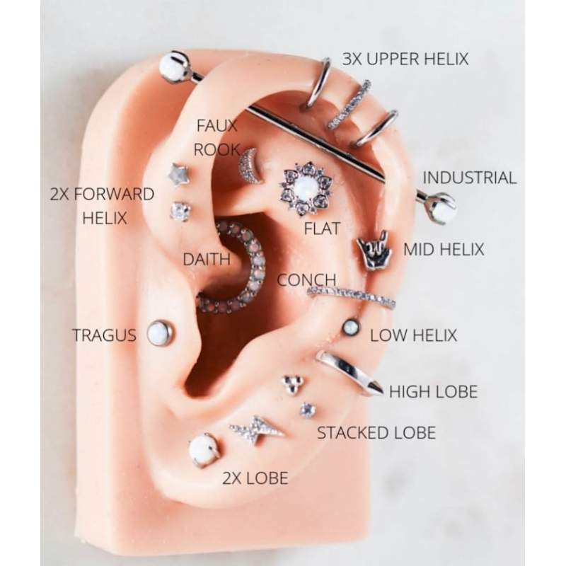 Cartilage Piercing Ear Piercing Studio Exotix Piercing Prices