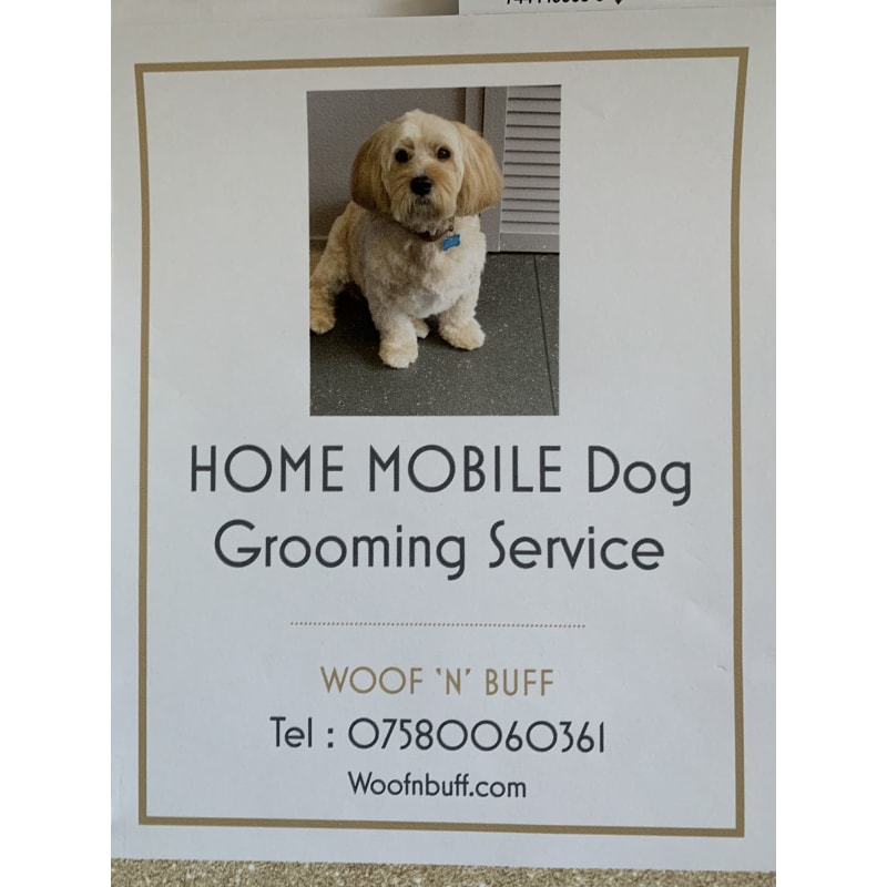 Buff and puff store mobile dog grooming