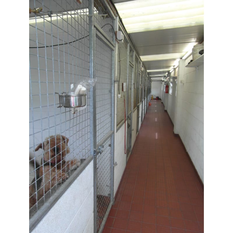 The grange 2024 boarding kennels