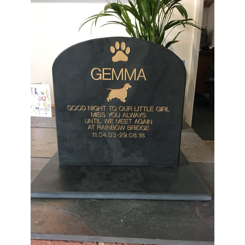 Rainbow bridge best sale pet cremations ltd