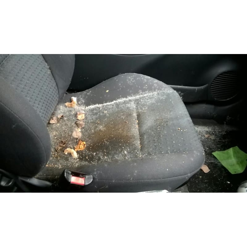 Splash N Shine Mobile Car Valeting Yell Splash N Shine Mobile Car Valeting Yell