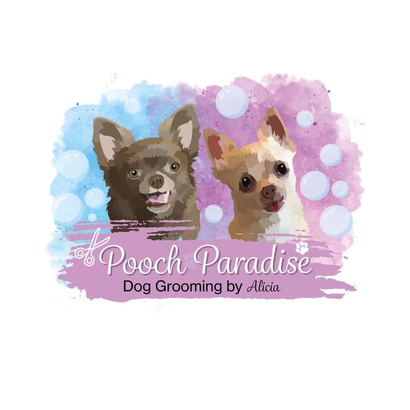 Paradise best sale dog grooming