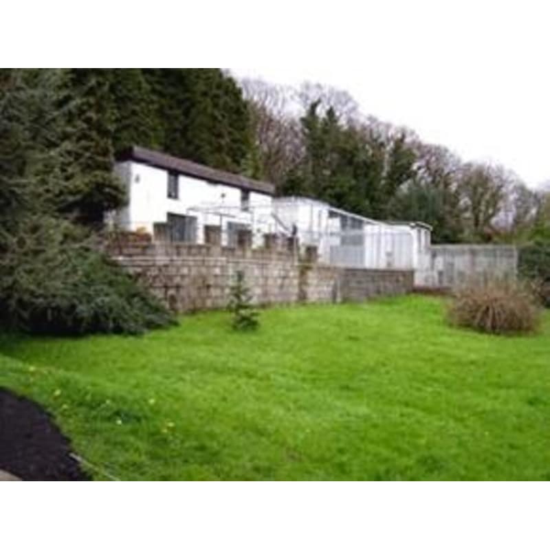 hideaway dog boarding