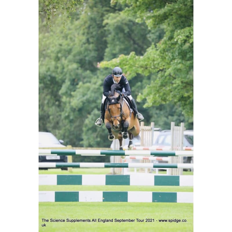 Rowebuck Stud Isfield Riding School and Stables opening times and reviews