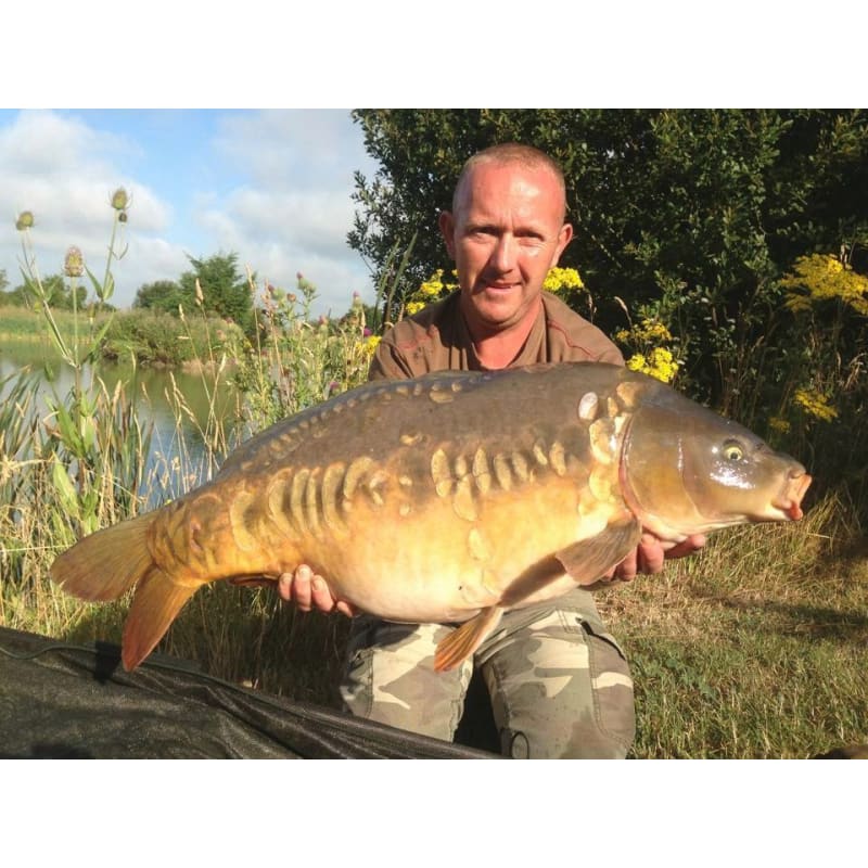 Todber Manor Fisheries Dorset, Carp Lakes, Fishing Holidays