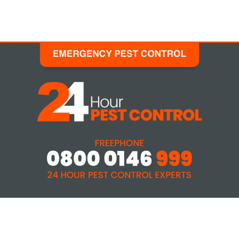 24 Hour Pest Control Ltd Harpenden Pest Vermin Control Services Yell