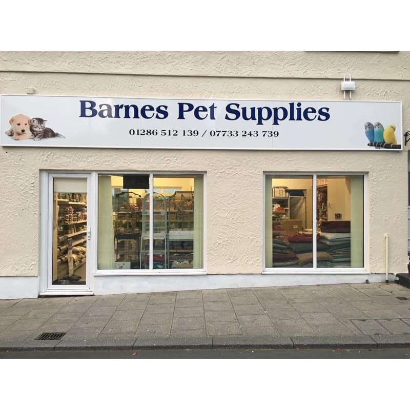 Barnes Pet Supplies Caernarfon Pet Supplies Yell