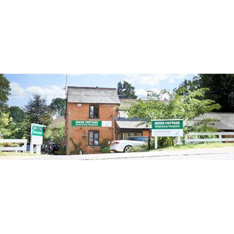 Moor Cottage Veterinary Hospital Bracknell Vets Yell