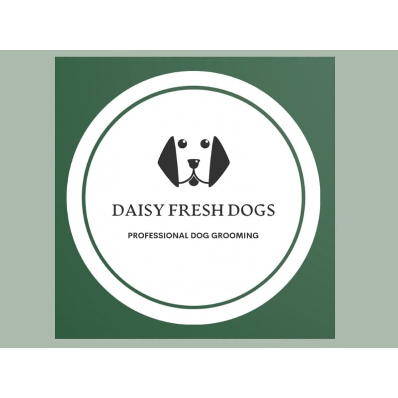 fresh as a daisy dog grooming