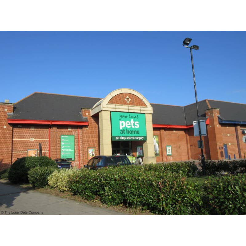 Vets for best sale pets southchurch rd