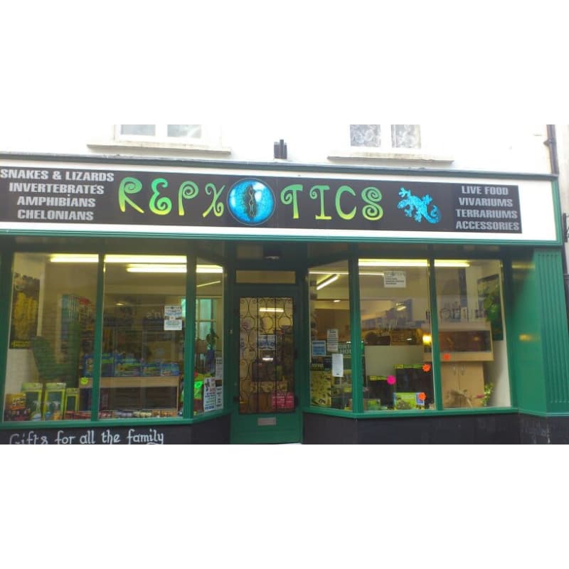 Repxotics Shepton Mallet Pet Shops Yell Repxotics Shepton Mallet Pet Shops Yell