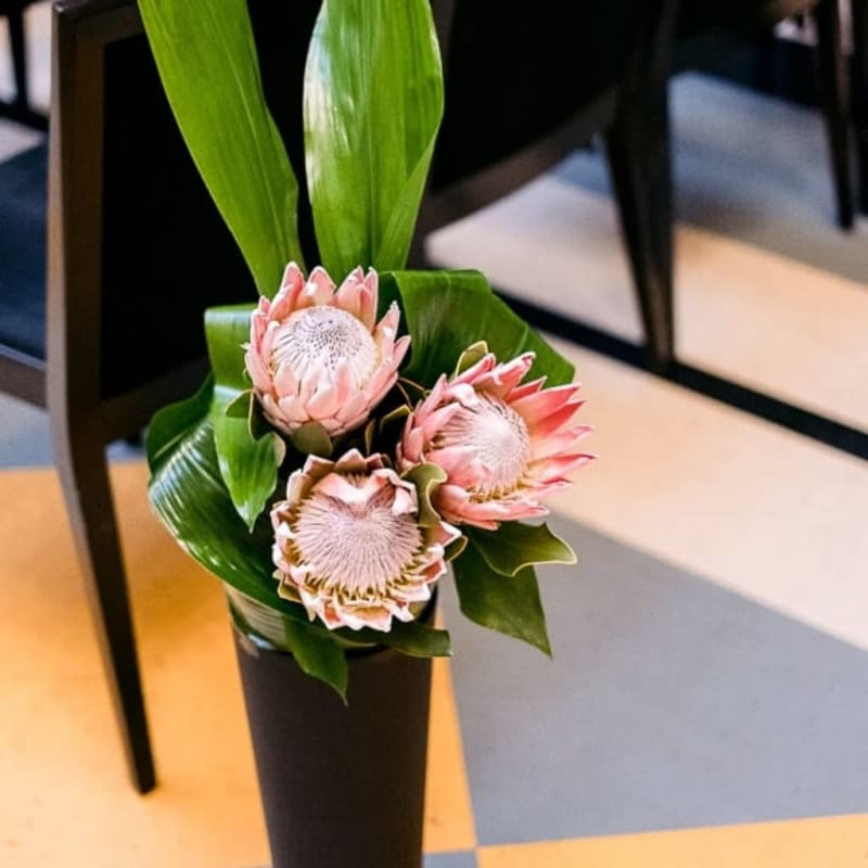 Little Pink Flowers Upminster Best Flower Site