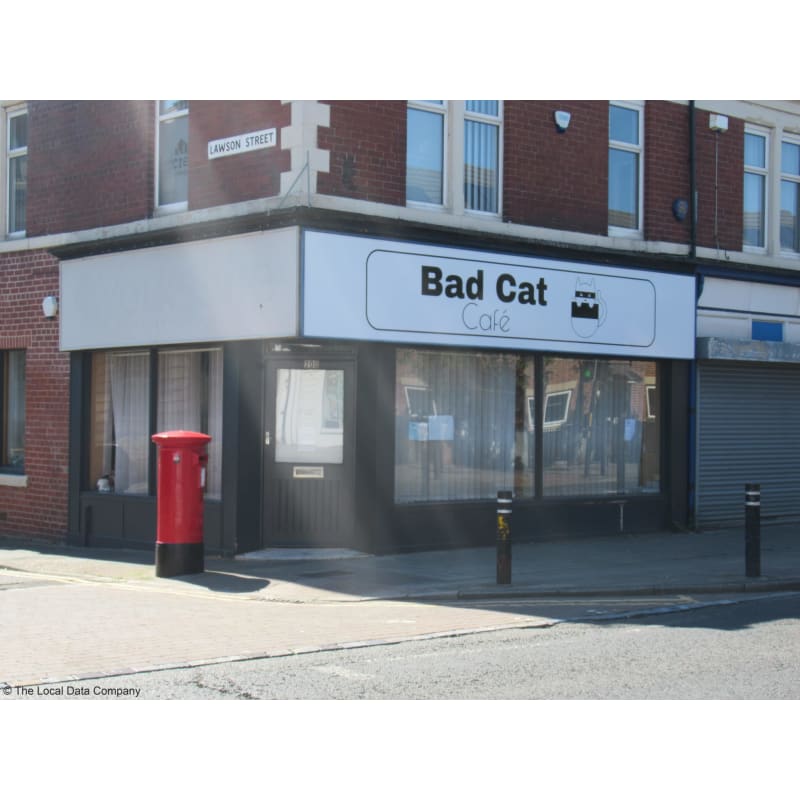 The Bad Cat Cafe