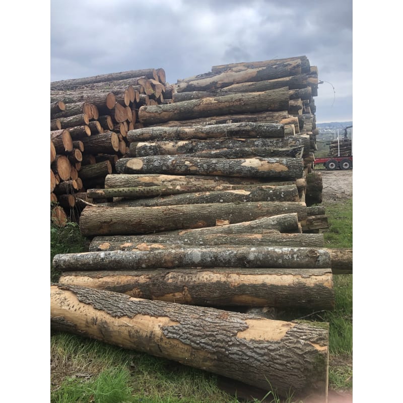 Firewood Logs Kingsbridge, Totnes, Ivybridge Devon - Woodleigh Wood - Home