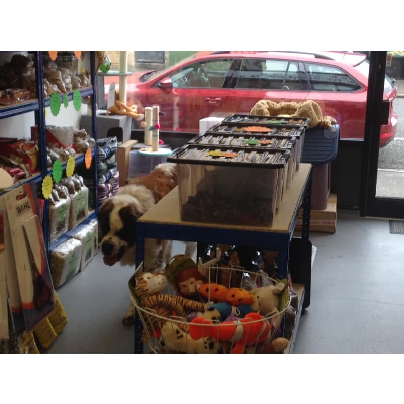 GD Pet Supplies Greenock Pet Supplies Yell