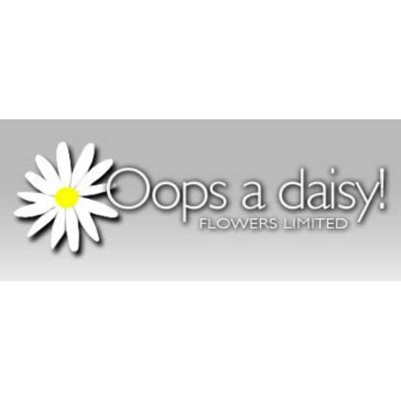 Oops A Daisy Flowers Limited Cirencester Best Flower Site