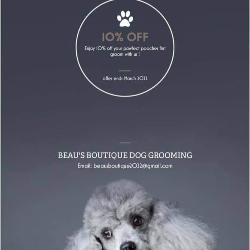 Beau s Boutique Dog Grooming Dog Cat Grooming Yell