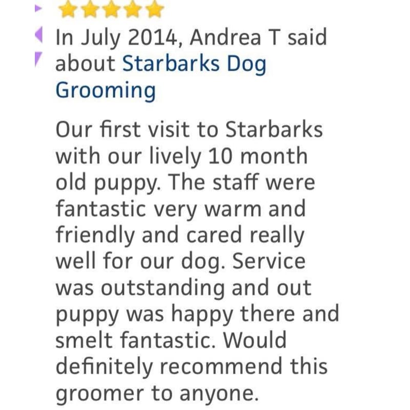 Starbarks dog clearance grooming