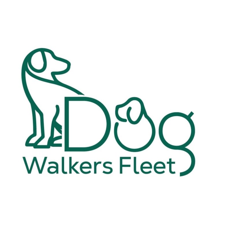 Dog store walking fleet