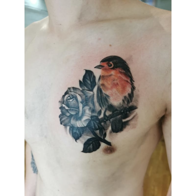 A Profound Journey into the Symbolism of Robin Tattoo Meaning | Robin tattoo,  Robin bird tattoos, Tattoos with meaning
