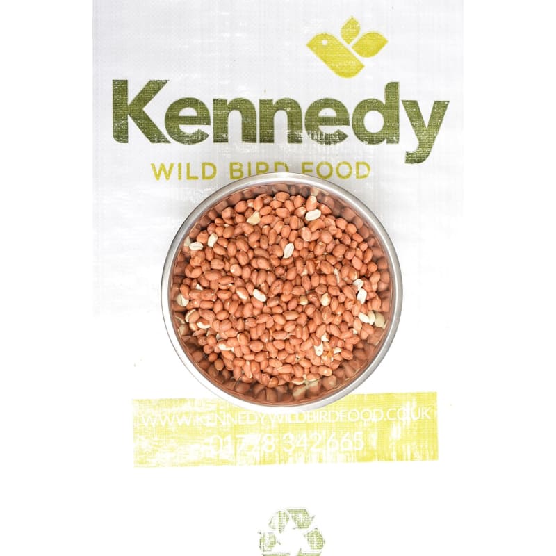 anne kennedy wild bird food