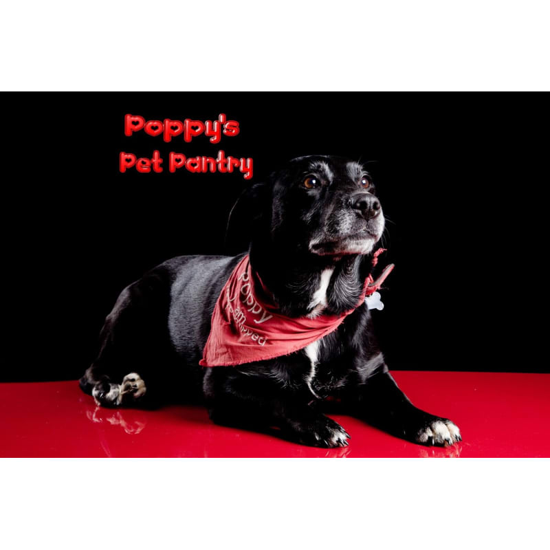 poppy's pantry dog food