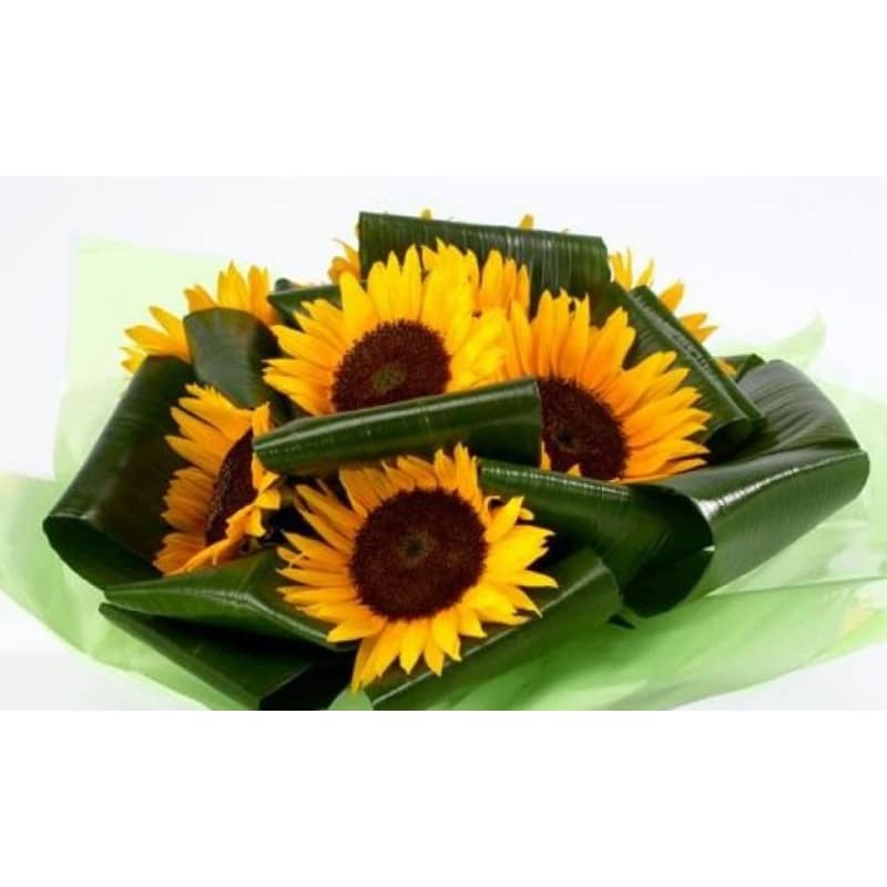 Oops A Daisy Flowers Limited Cirencester Best Flower Site