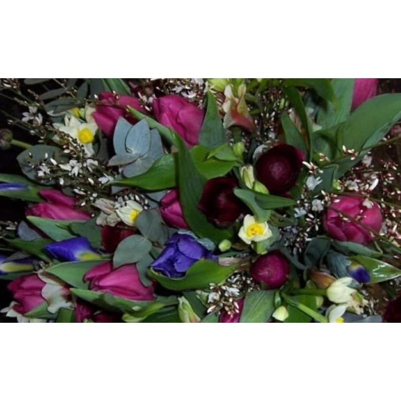 Oops A Daisy Flowers Limited Cirencester Best Flower Site