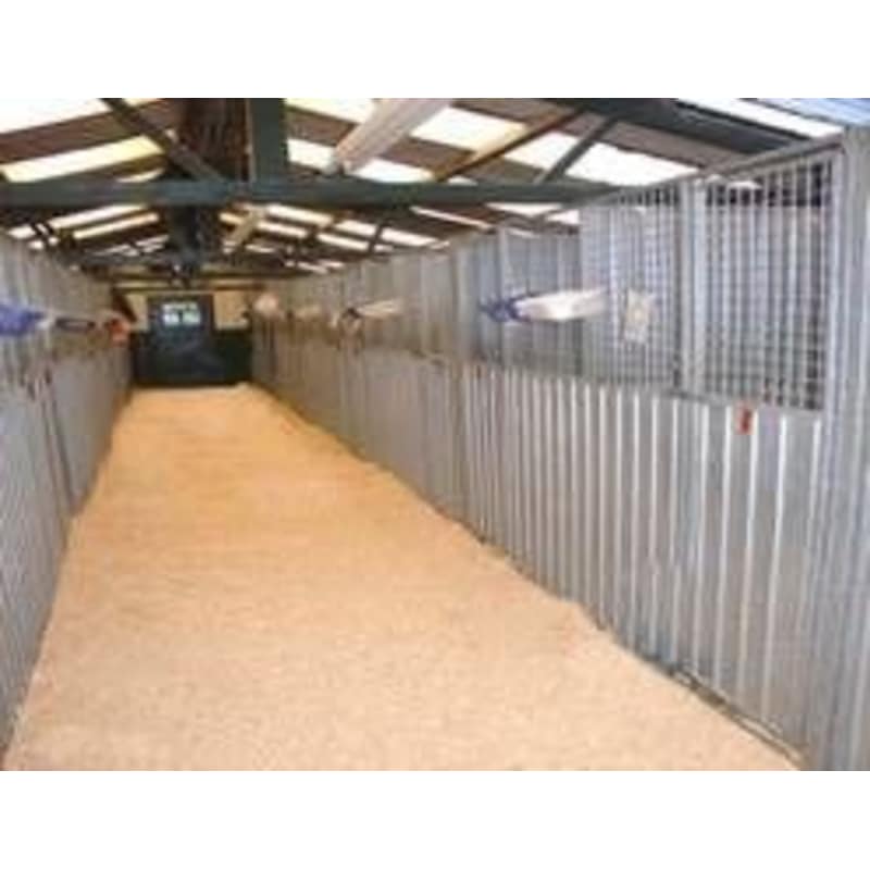 Kingston kennels sales