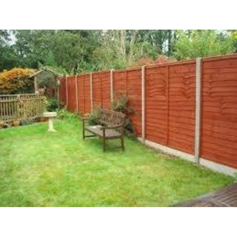 red cedar fence paint asda